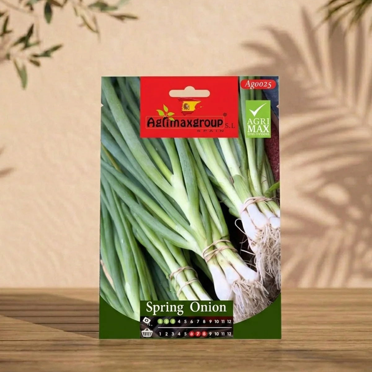 Buy Spring Onion | Acacia Garden Center