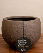 Struttura Balloon Bowl Low | Wide Profile, Dia. 30–55 cm - Acacia Garden Center