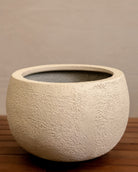 Struttura Balloon Bowl Low | Wide Profile, Dia. 30–55 cm - Acacia Garden Center