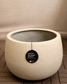 Struttura Balloon Bowl Low | Wide Profile, Dia. 30–55 cm - Acacia Garden Center