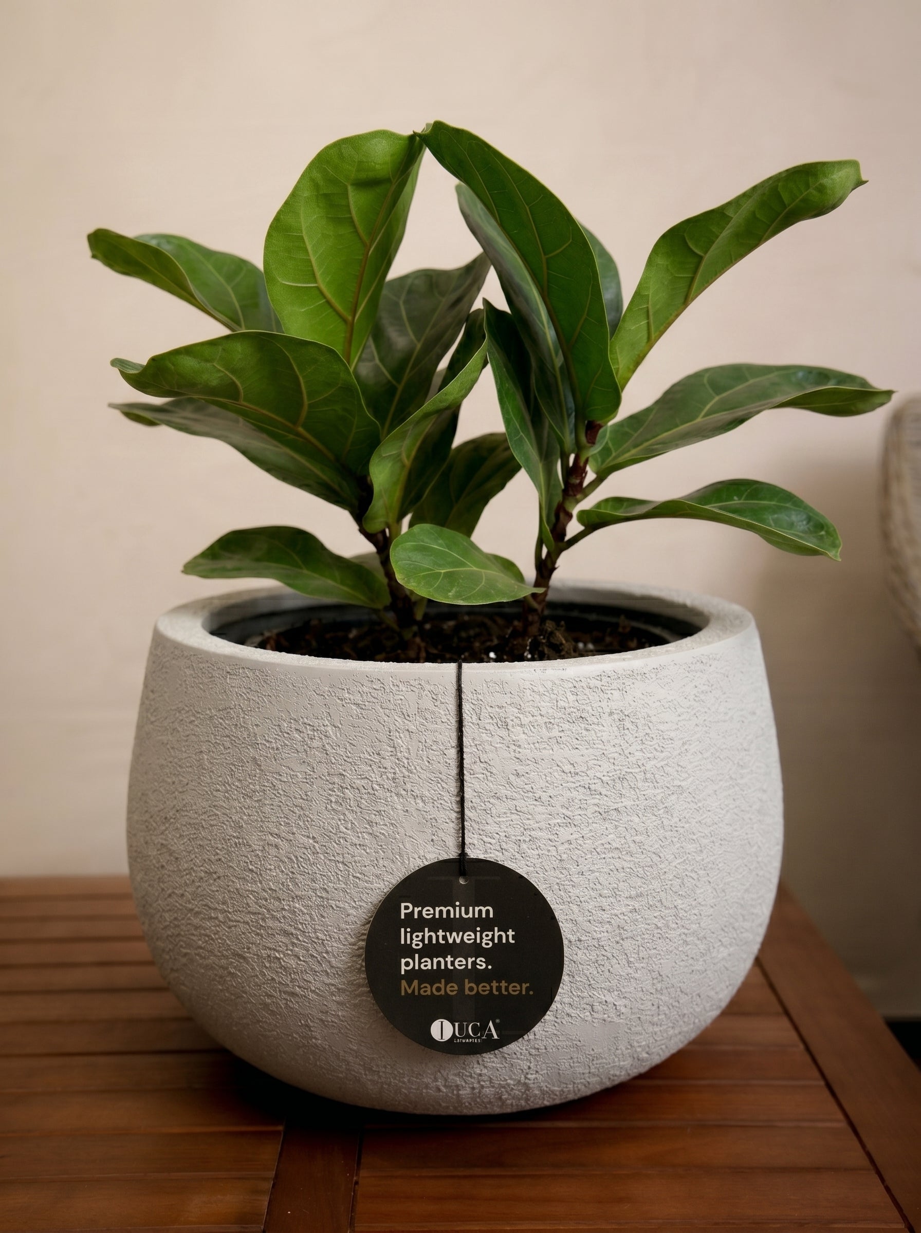 Struttura Balloon Bowl Low | Wide Profile, Dia. 30–55 cm - Acacia Garden Center