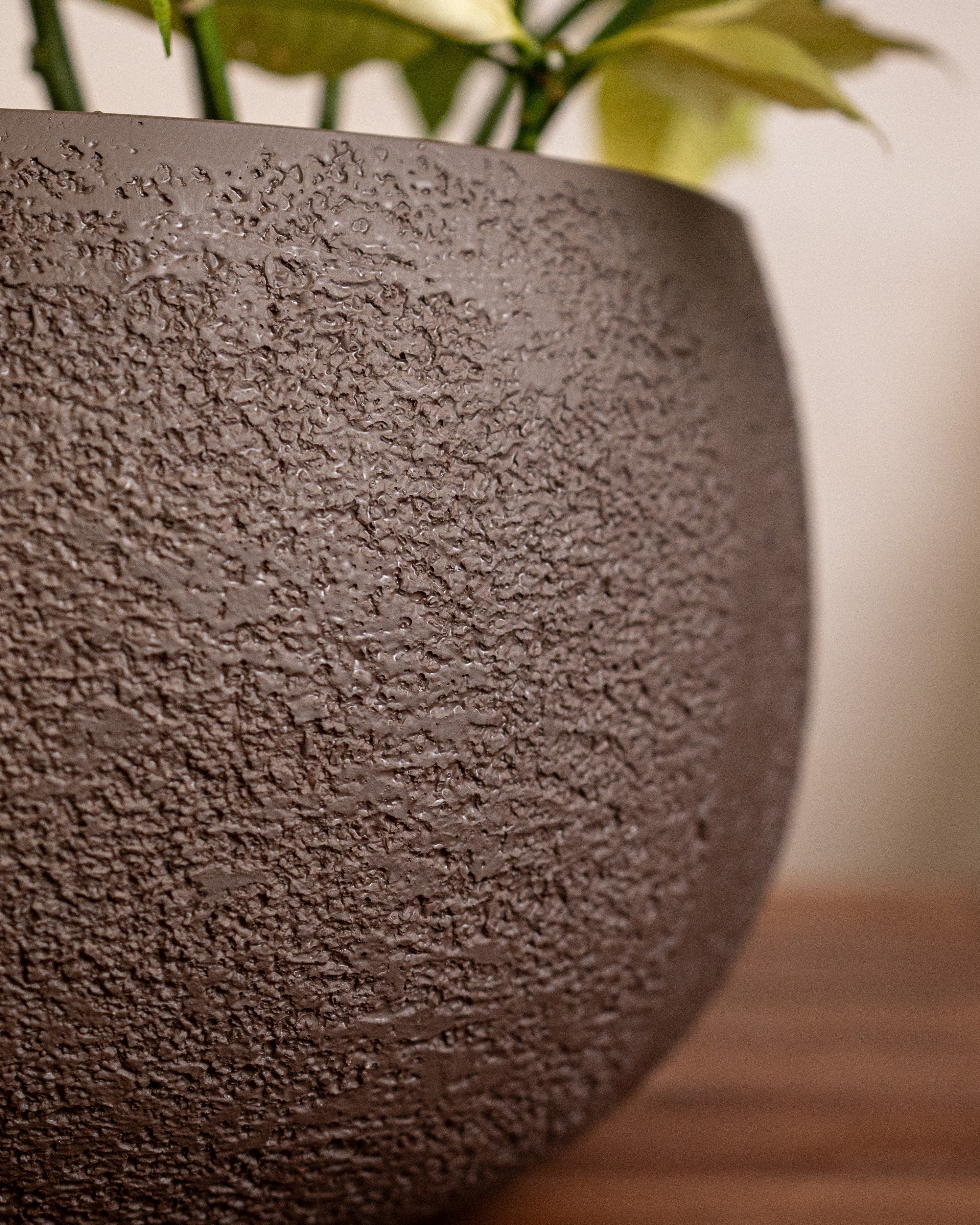 Struttura Balloon Bowl Low | Wide Profile, Dia. 30–55 cm - Acacia Garden Center