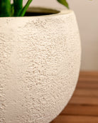 Struttura Balloon Bowl Low | Wide Profile, Dia. 30–55 cm - Acacia Garden Center