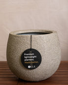 Struttura Balloon Bowl Planter | Rounded Pot, Dia. 30–55 cm - Acacia Garden Center
