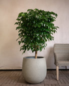 Struttura Balloon Bowl Planter | Rounded Pot, Dia. 30–55 cm - Acacia Garden Center