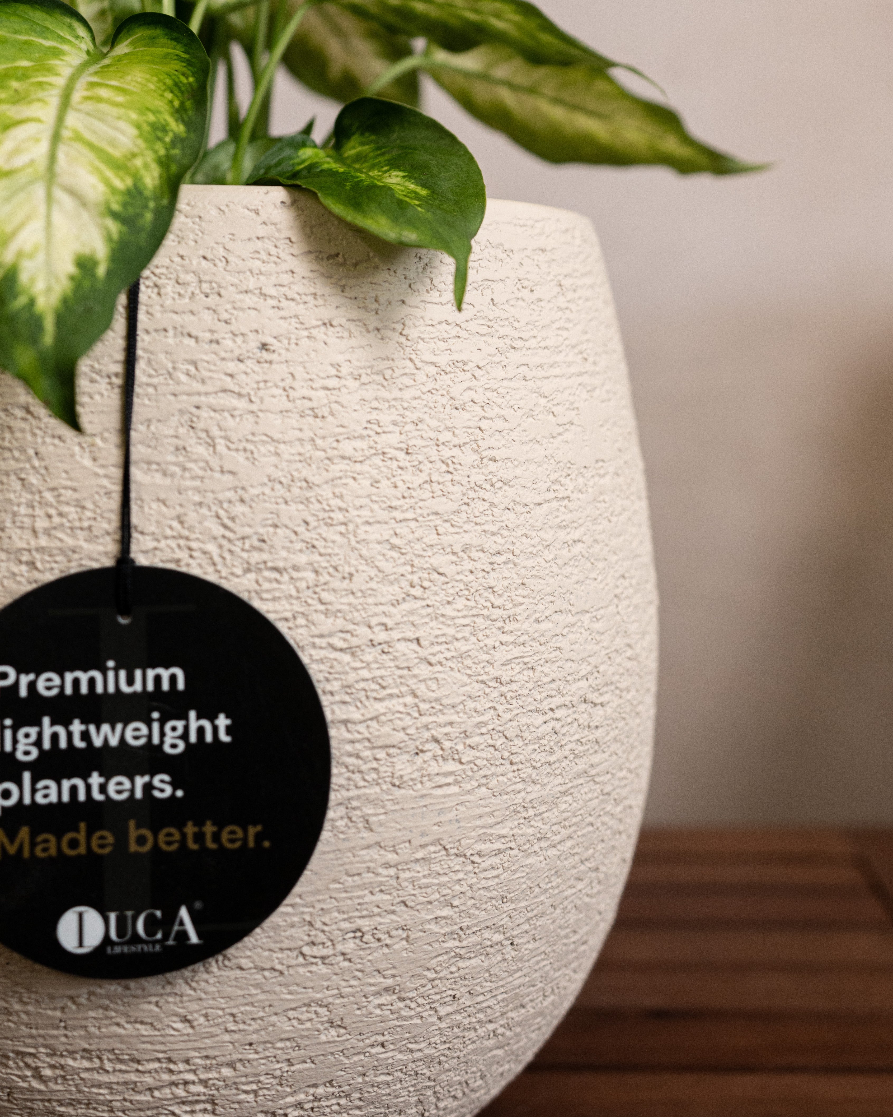 Struttura Balloon Bowl Planter | Rounded Pot, Dia. 30–55 cm - Acacia Garden Center