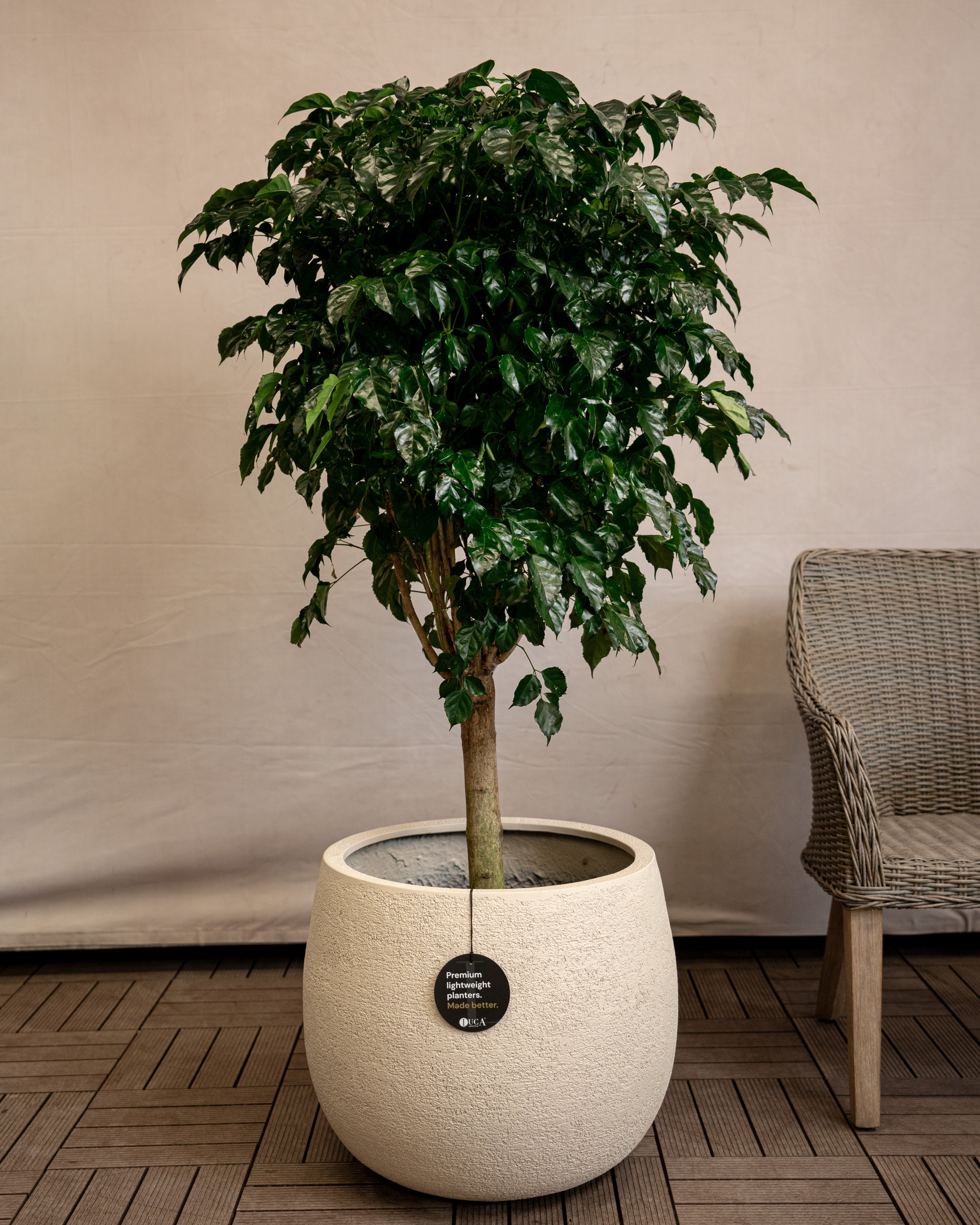 Struttura Balloon Bowl Planter | Rounded Pot, Dia. 30–55 cm - Acacia Garden Center