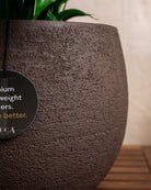 Struttura Balloon Bowl Planter | Rounded Pot, Dia. 30–55 cm - Acacia Garden Center