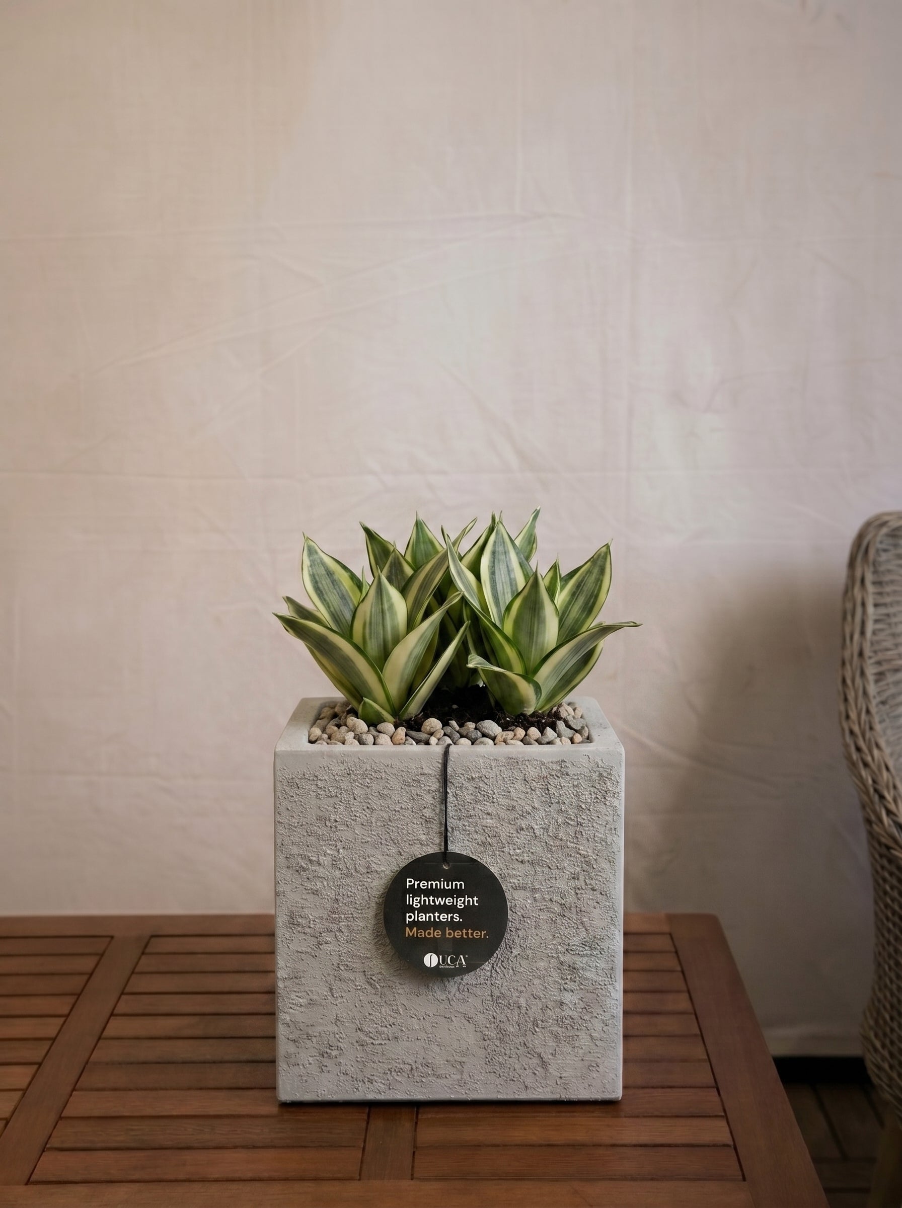 Struttura Cube | Square Planter, Dia. 20–60 cm - Acacia Garden Center