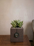 Struttura Cube | Square Planter, Dia. 20–60 cm - Acacia Garden Center