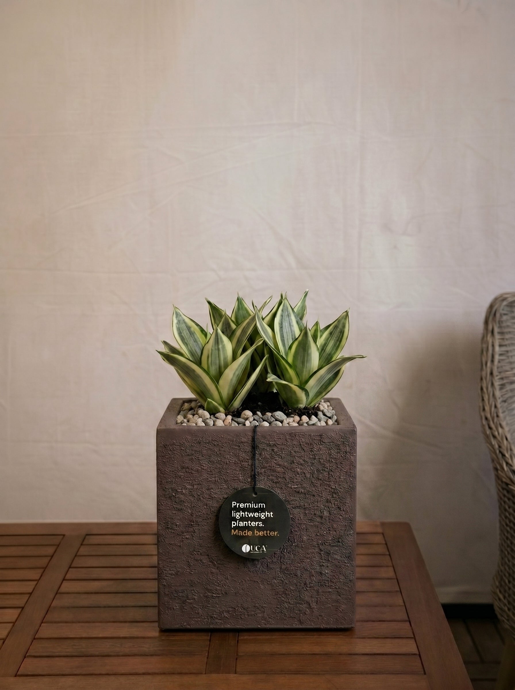Struttura Cube | Square Planter, Dia. 20–60 cm - Acacia Garden Center