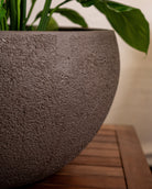 Struttura Elena Bowl | Sculptural Wide Bowl, Dia. 50–120 cm - Acacia Garden Center