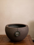 Struttura Elena Bowl | Sculptural Wide Bowl, Dia. 50–120 cm - Acacia Garden Center