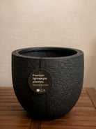 Struttura New Egg Pot | Classic Egg Shape, Dia. 36–65 cm - Acacia Garden Center