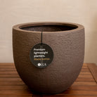 Struttura New Egg Pot | Classic Egg Shape, Dia. 36–65 cm - Acacia Garden Center