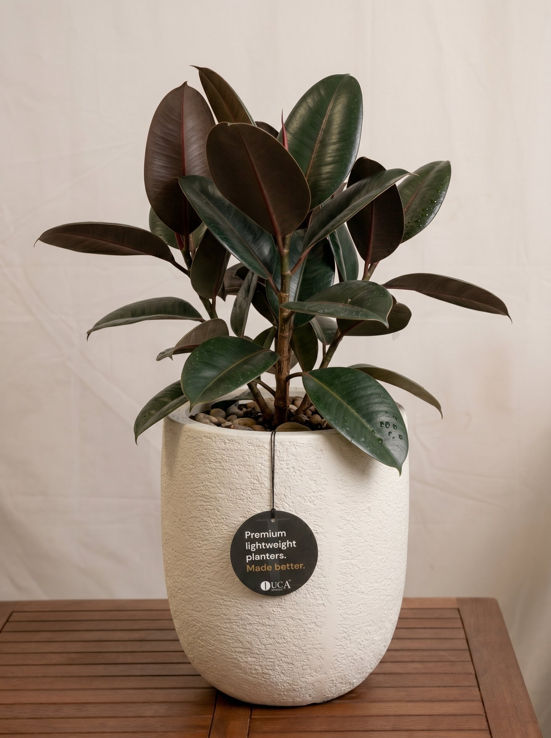 Struttura Tall Egg Pot | Elongated Egg Shape, 30–88 cm - Acacia Garden Center