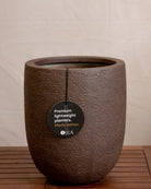 Struttura Tall Egg Pot | Elongated Egg Shape, 30–88 cm - Acacia Garden Center