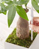 Sustee Aquameter (Per Piece) - Acacia Garden Center