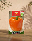 Sweet Pepper - Acacia Garden Center