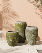 Tall Egg Planter (Atlantis Ceramics) | Moss Green, Dia. 54–87 cm - Acacia Garden Center