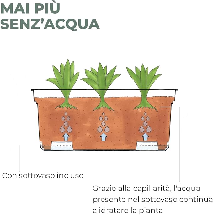 Teraplast Aqua, Mix Colors - Acacia Garden Center