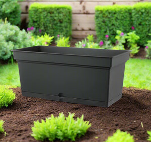 Teraplast Aqua, Mix Colors - Acacia Garden Center