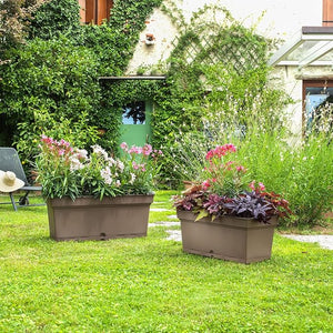 Teraplast Aqua, Mix Colors - Acacia Garden Center