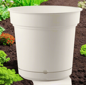 Teraplast Hydral Mix Colors - Acacia Garden Center