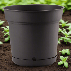 Teraplast Hydral Mix Colors - Acacia Garden Center