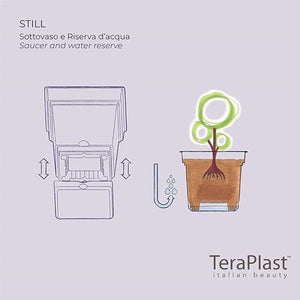 Teraplast Still, 38CM, Mix Colors - Acacia Garden Center