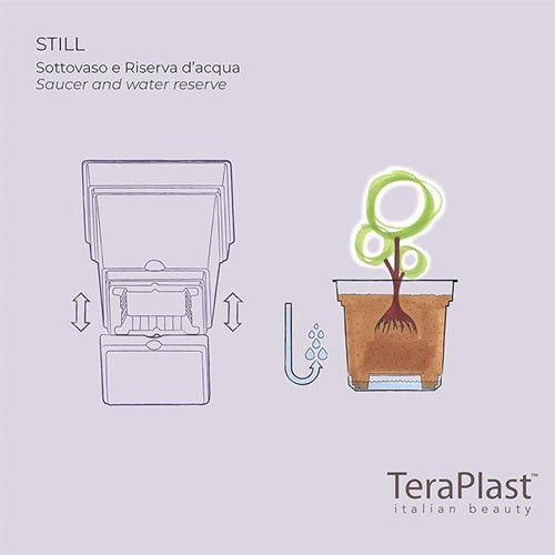 Teraplast Still, 38CM, Mix Colors - Acacia Garden Center