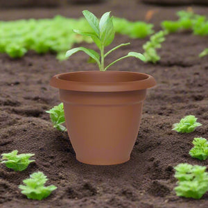 Teraplast Vega, Mix Colors - Acacia Garden Center