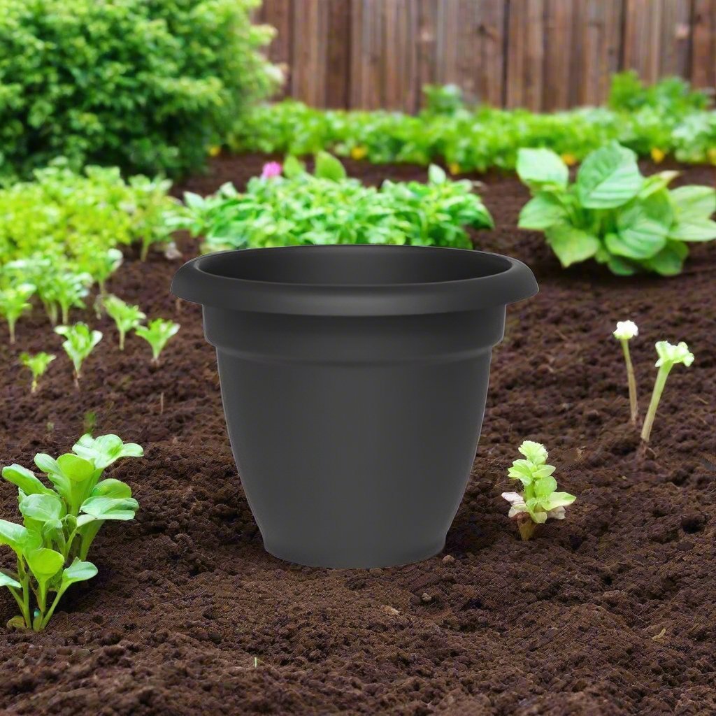 Teraplast Vega, Mix Colors - Acacia Garden Center