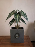 Terreno Cube | Square Planter, Dia. 20–50 cm - Acacia Garden Center