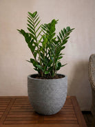 Terreno New Egg Pot | Textured Planter, Dia. 36–94 cm - Acacia Garden Center