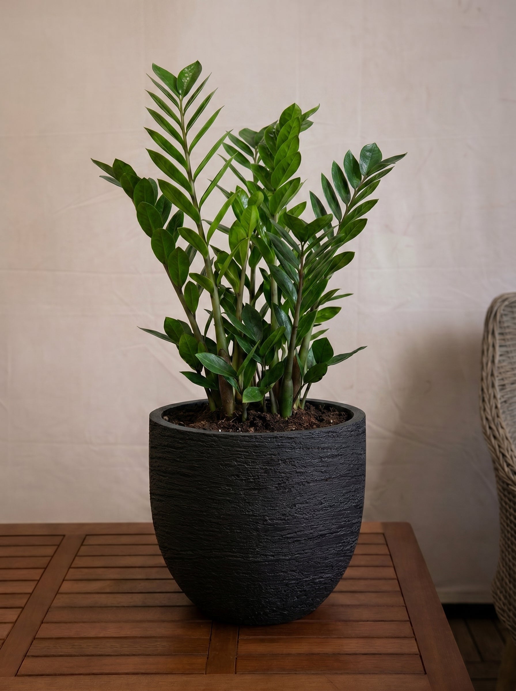 Terreno New Egg Pot | Textured Planter, Dia. 36–94 cm - Acacia Garden Center