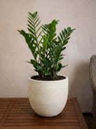 Terreno New Egg Pot | Textured Planter, Dia. 36–94 cm - Acacia Garden Center
