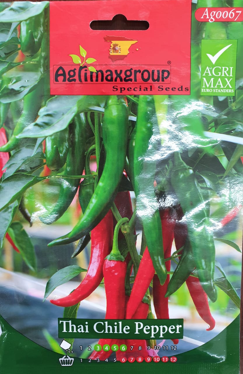 Thai Chili Pepper - Acacia Garden Center