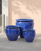 Tree Planter (Atlantis) | Hand - Glazed Ceramic, Dia. 35–67 cm - Acacia Garden Center