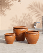 Tree Planter (Atlantis) | Hand - Glazed Ceramic, Dia. 35–67 cm - Acacia Garden Center
