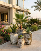 U Planter (Atlantis) | Hand - Glazed Silver Sand Ceramic, Dia. 41–64 cm - Acacia Garden Center