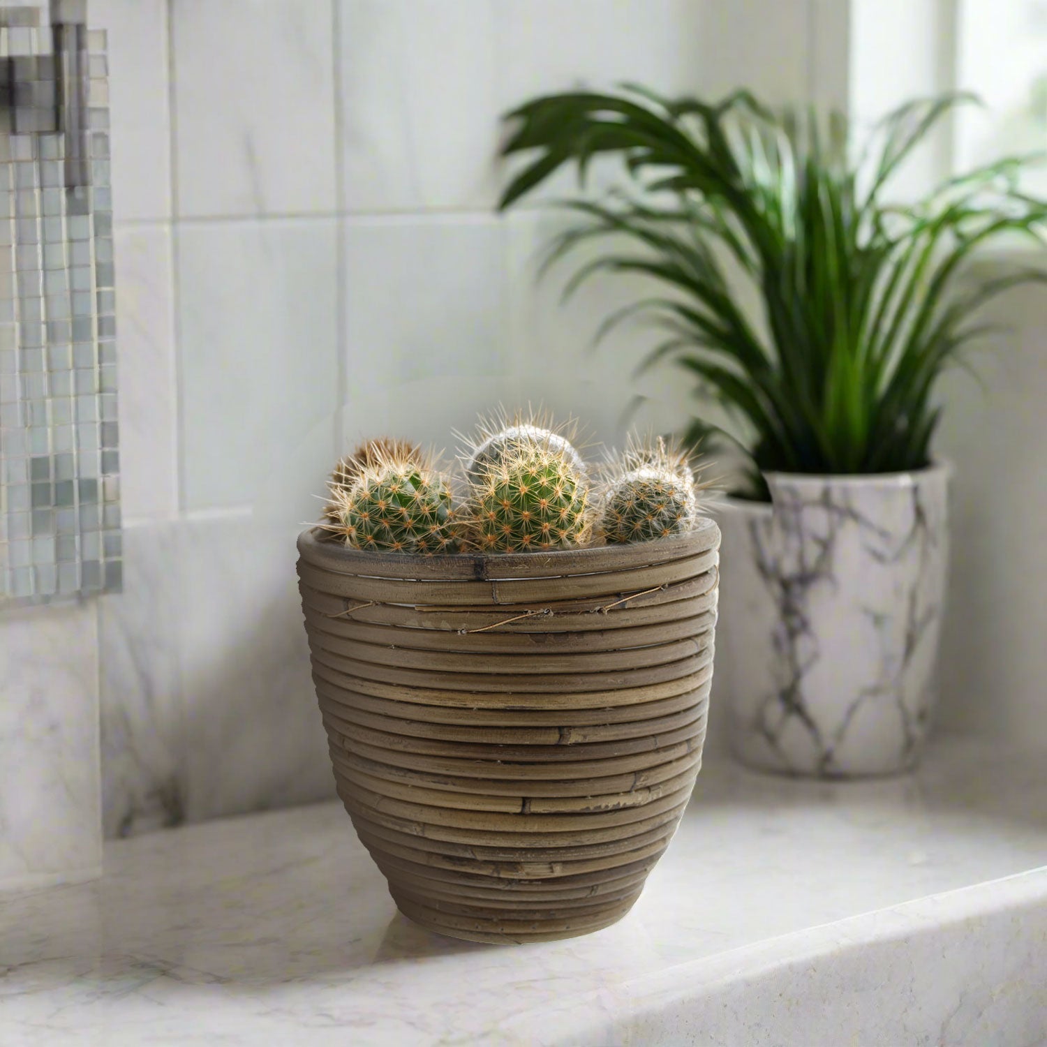 Van der Leeden Pot Round Balloon Stripe 300855 D13X11cm - Acacia Garden Center