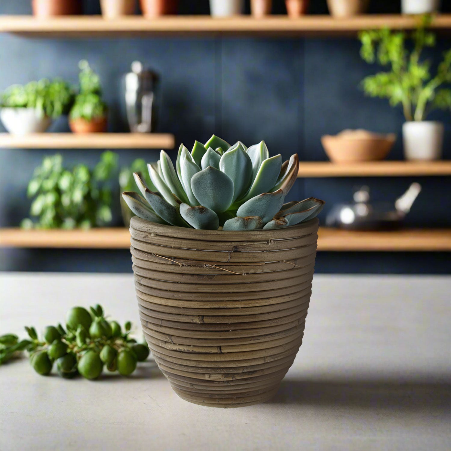 Van der Leeden Pot Round Balloon Stripe 300856 D15X14cm - Acacia Garden Center