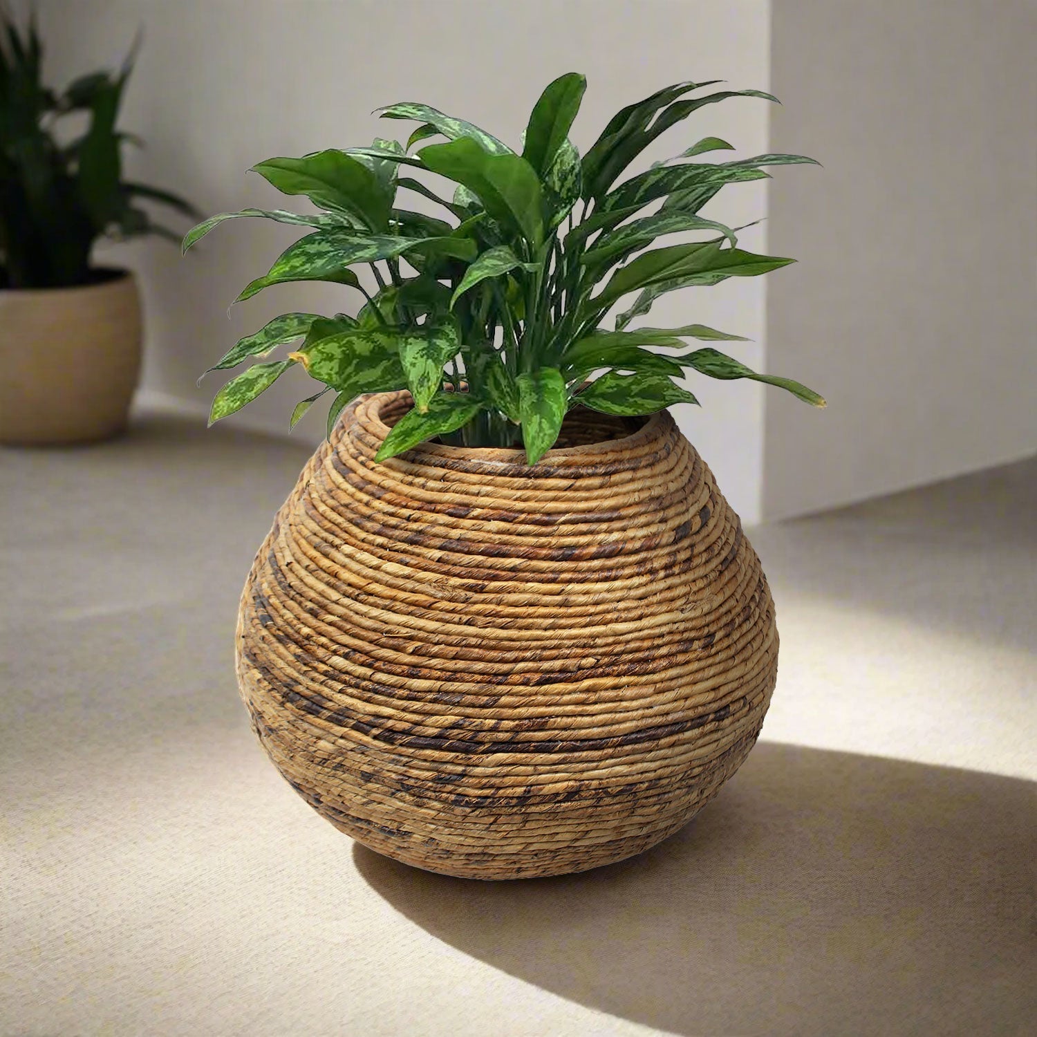 Van der Leeden Vase Abaca 305371 57x45cm - Acacia Garden Center