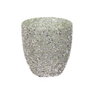 Variegated Pepperomia in Strass Pot 30 - 40cm - Acacia Garden Center