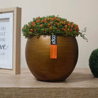 Vase Ball Retro - BRTG/BRTS 109 - Acacia Garden Center