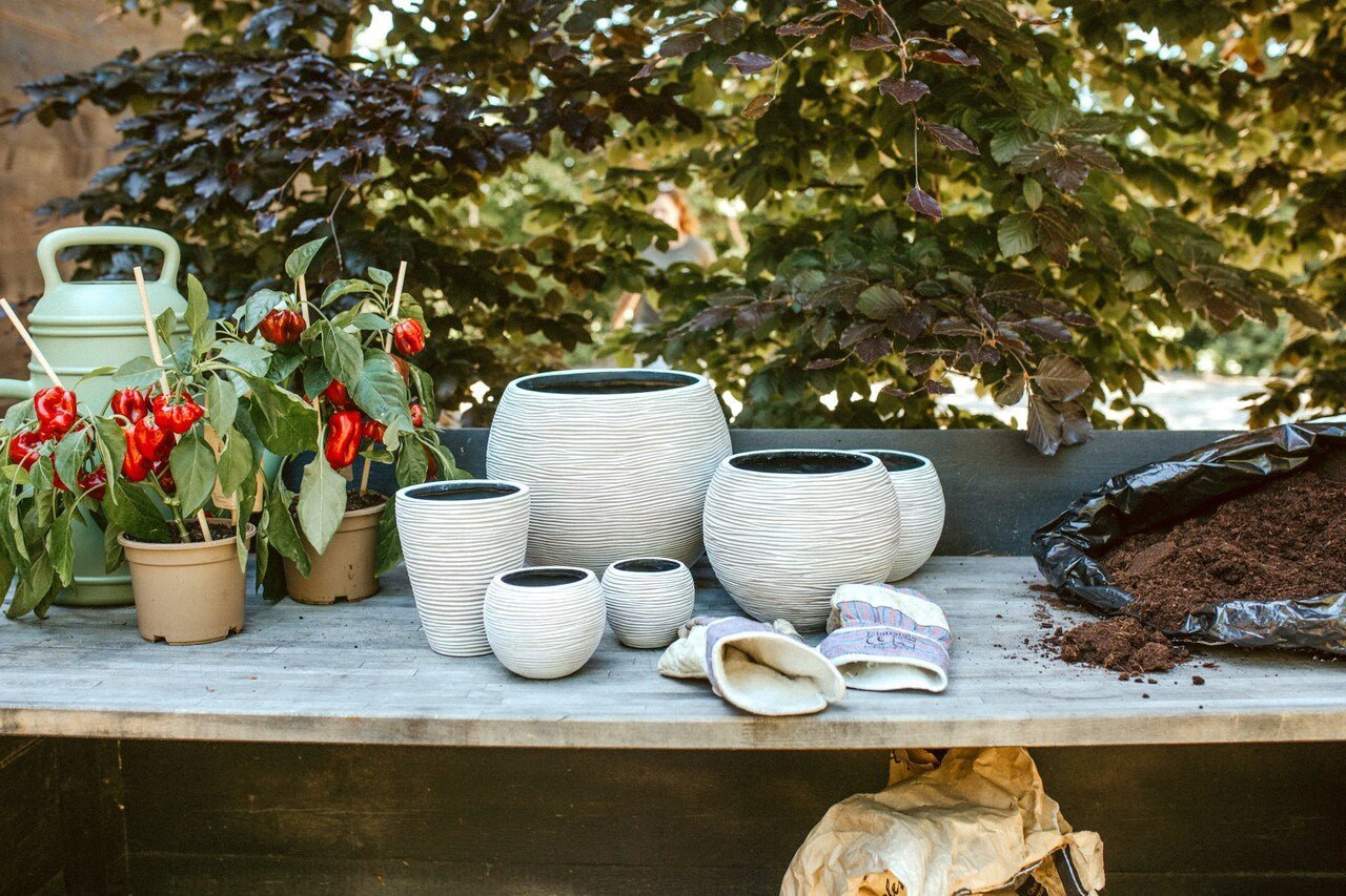 Vase Ball Rib - Acacia Garden Center