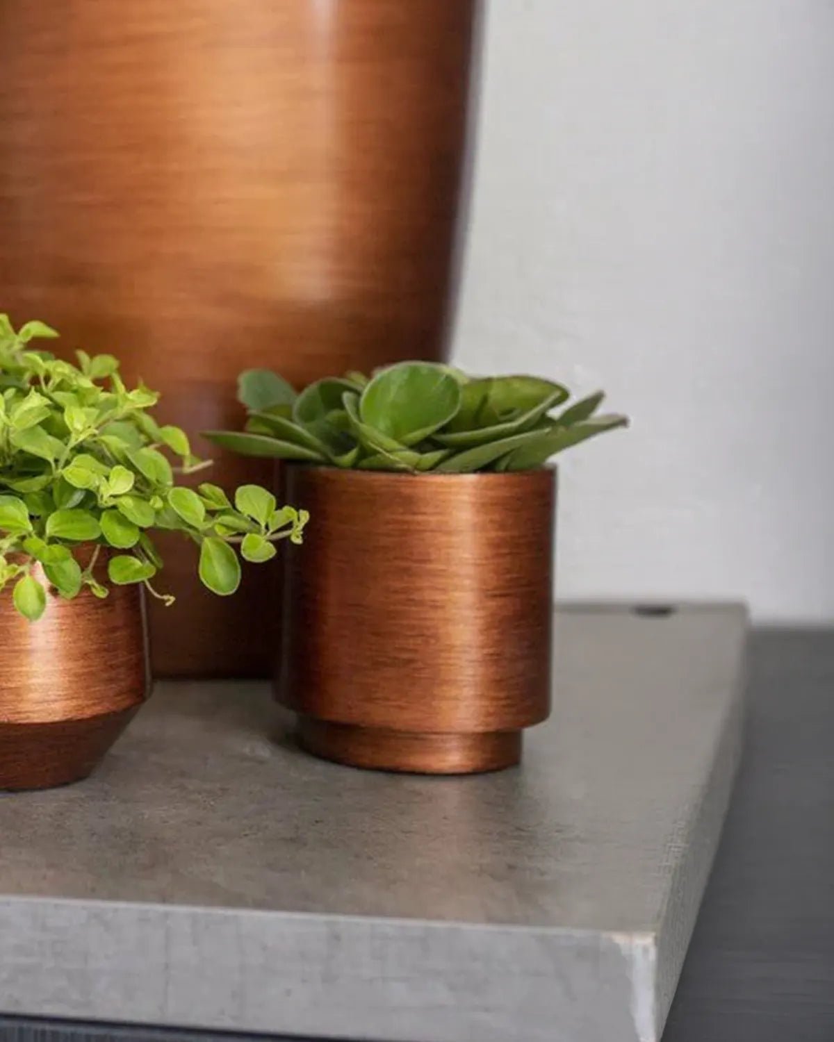 Vase Cylinder - Acacia Garden Center