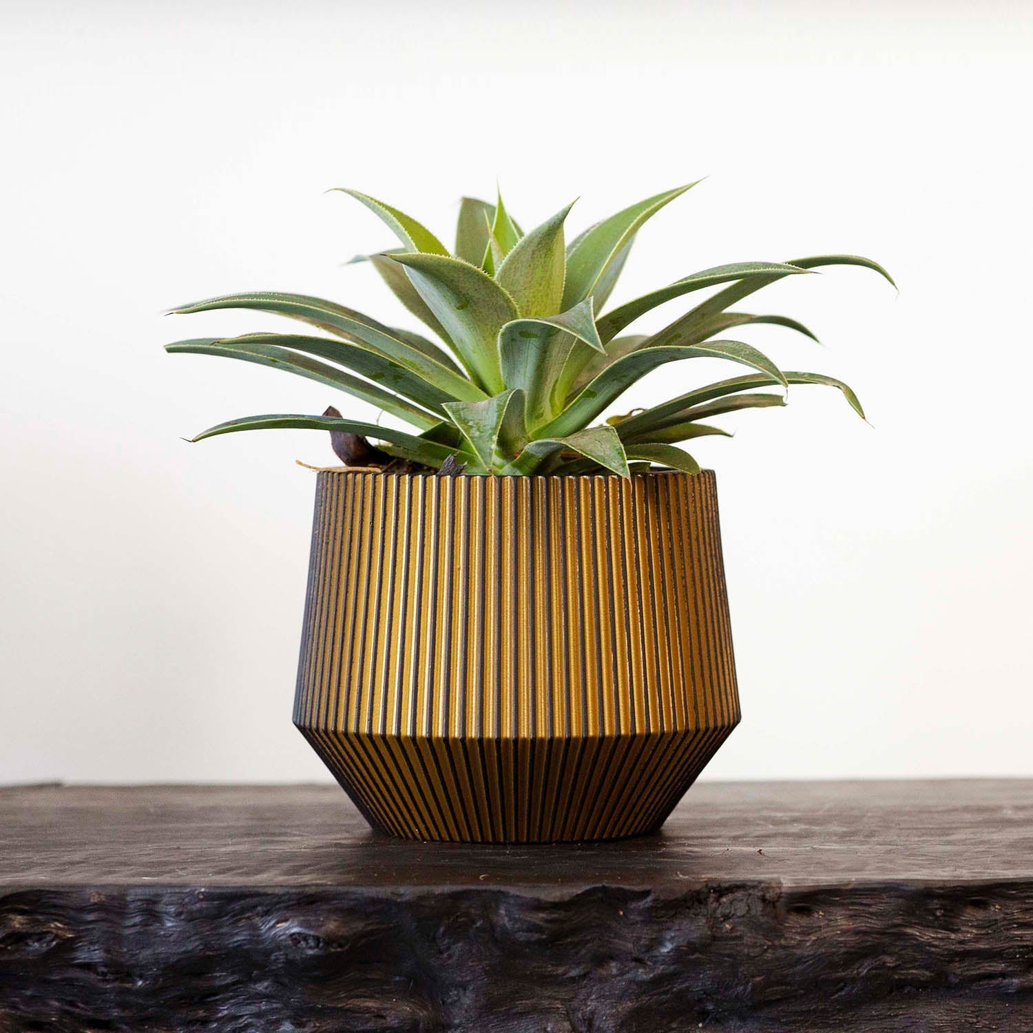 Vase Cylinder GEO Groove - Acacia Garden Center
