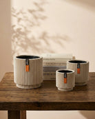 Vase Cylinder Groove BGVI 312 - Acacia Garden Center